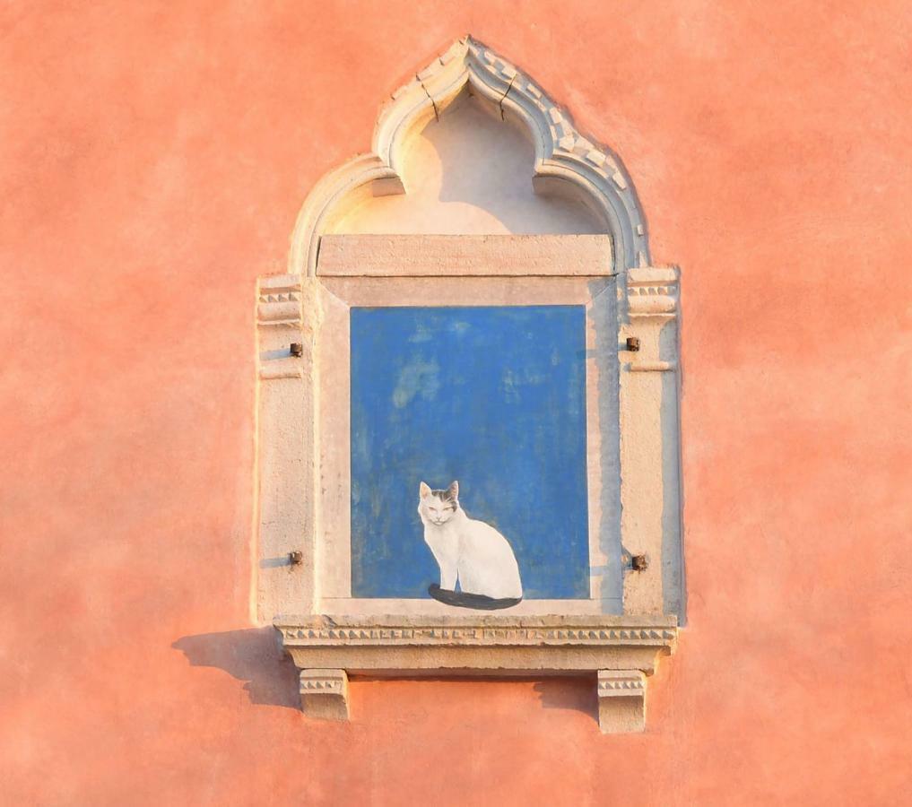 Casa Bepi Villa Kanfanar Buitenkant foto